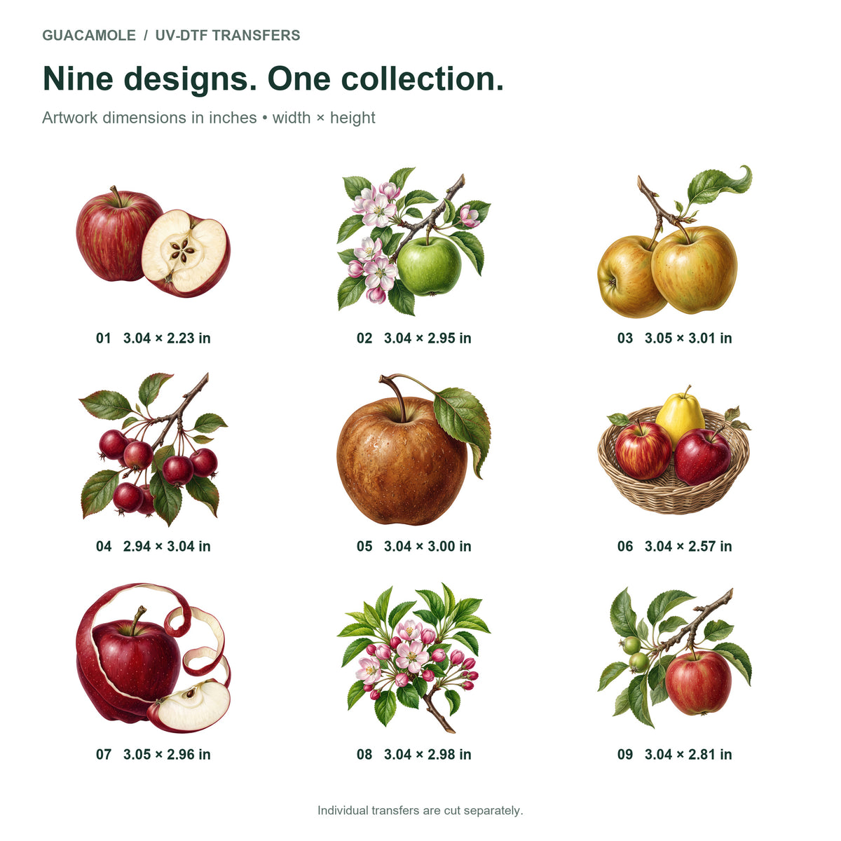 Apple Varieties — Nine designs and sizes
