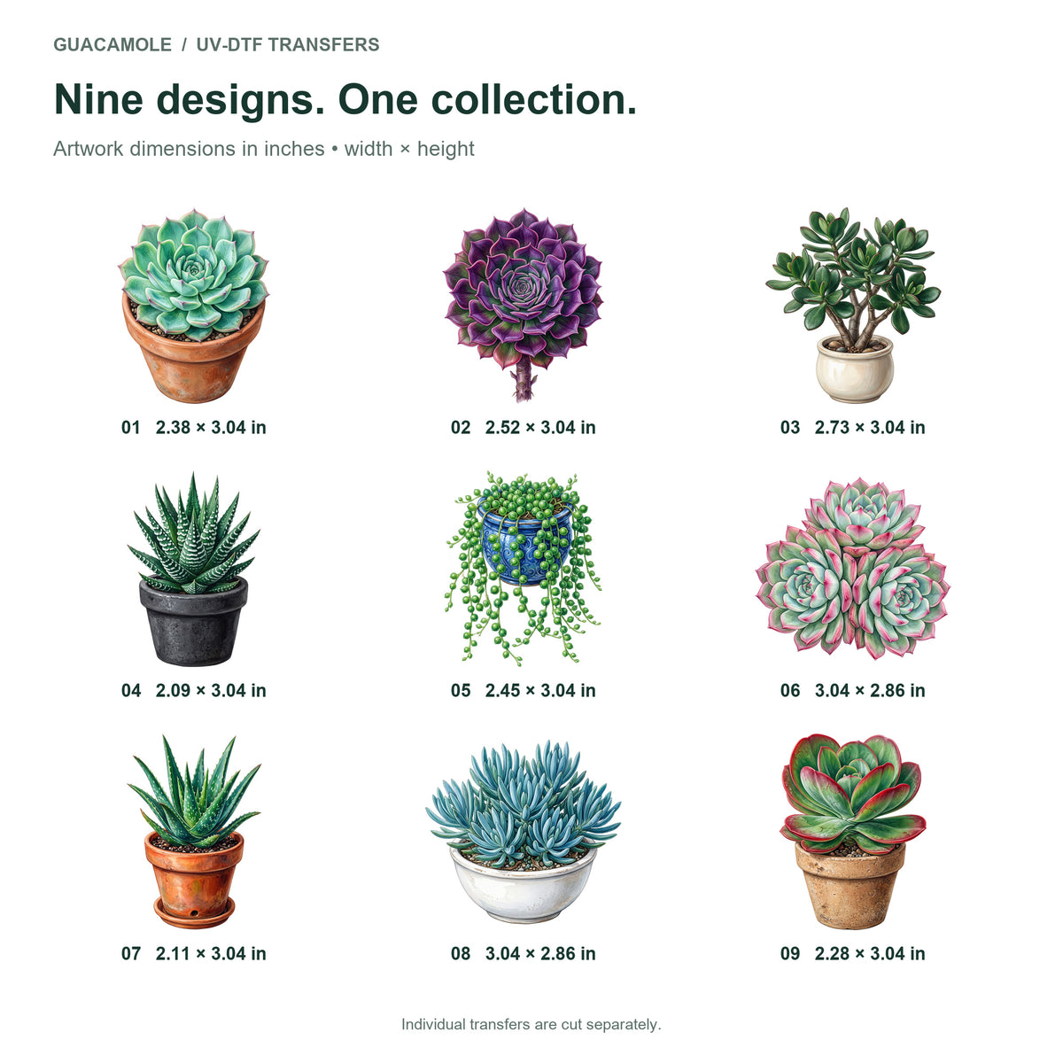 Desert Succulents — Nine designs and sizes