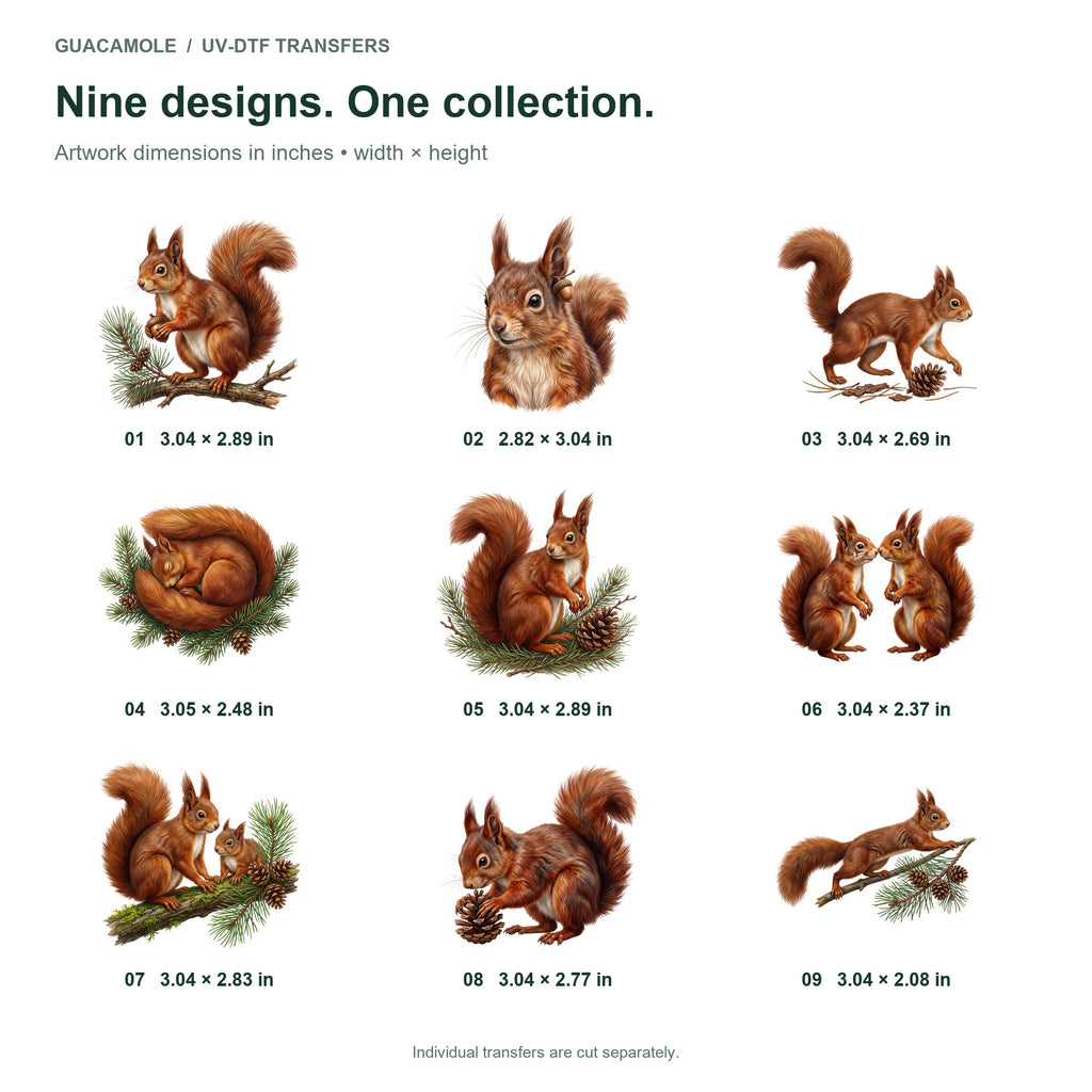 Squirrel Acorn Adventures — Nine designs and sizes