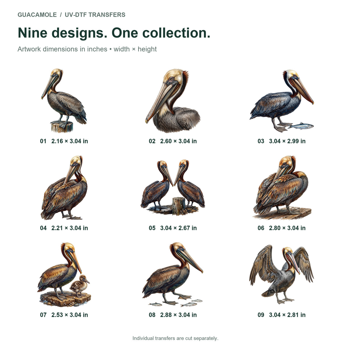 Pelicans at the Pier — Nine designs and sizes