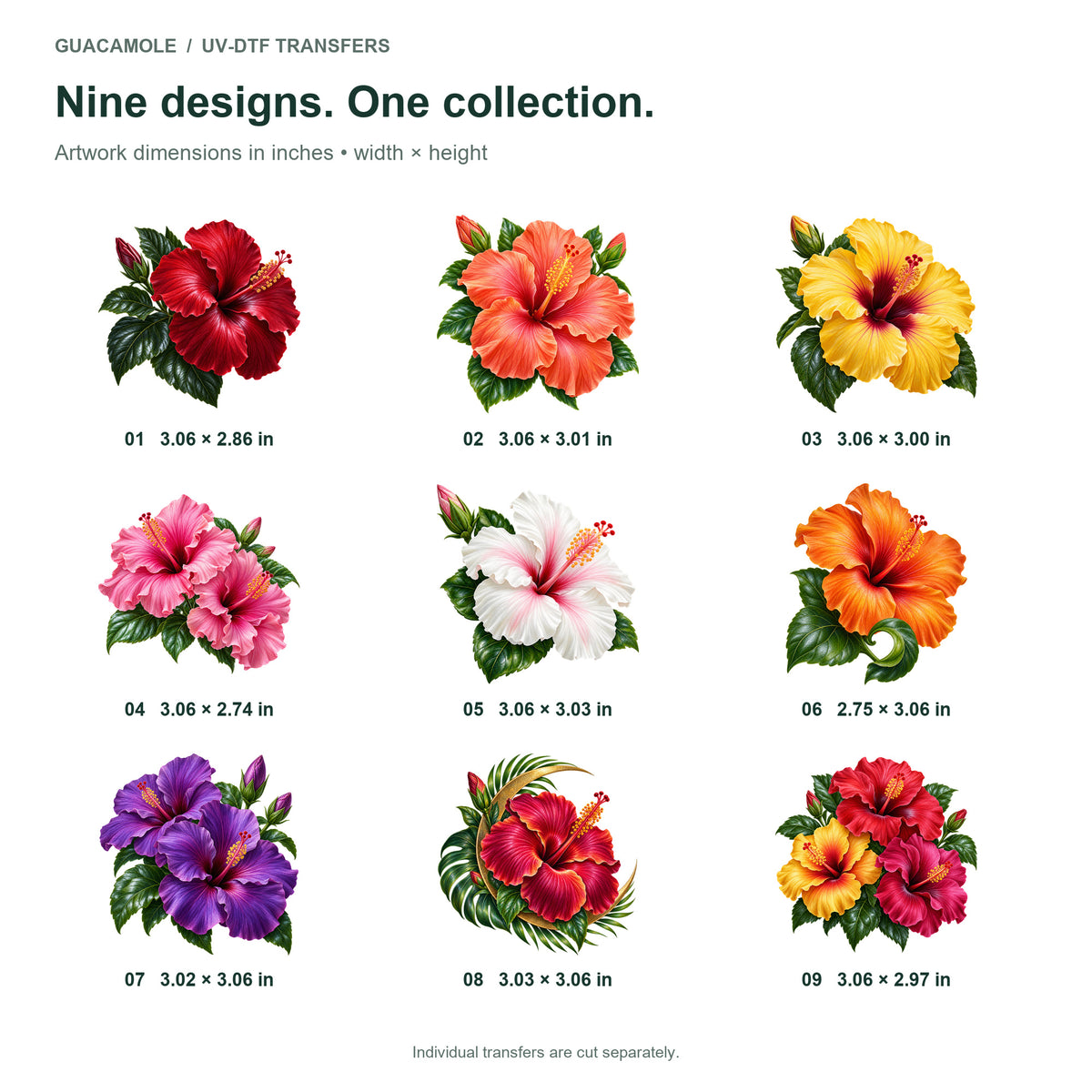 Hibiscus - Tropical Bloom — Nine designs and sizes