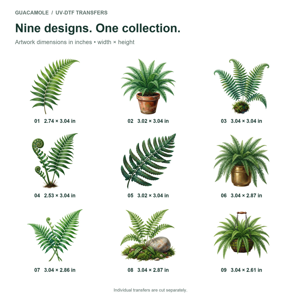 Boston Fern Fronds — Nine designs and sizes