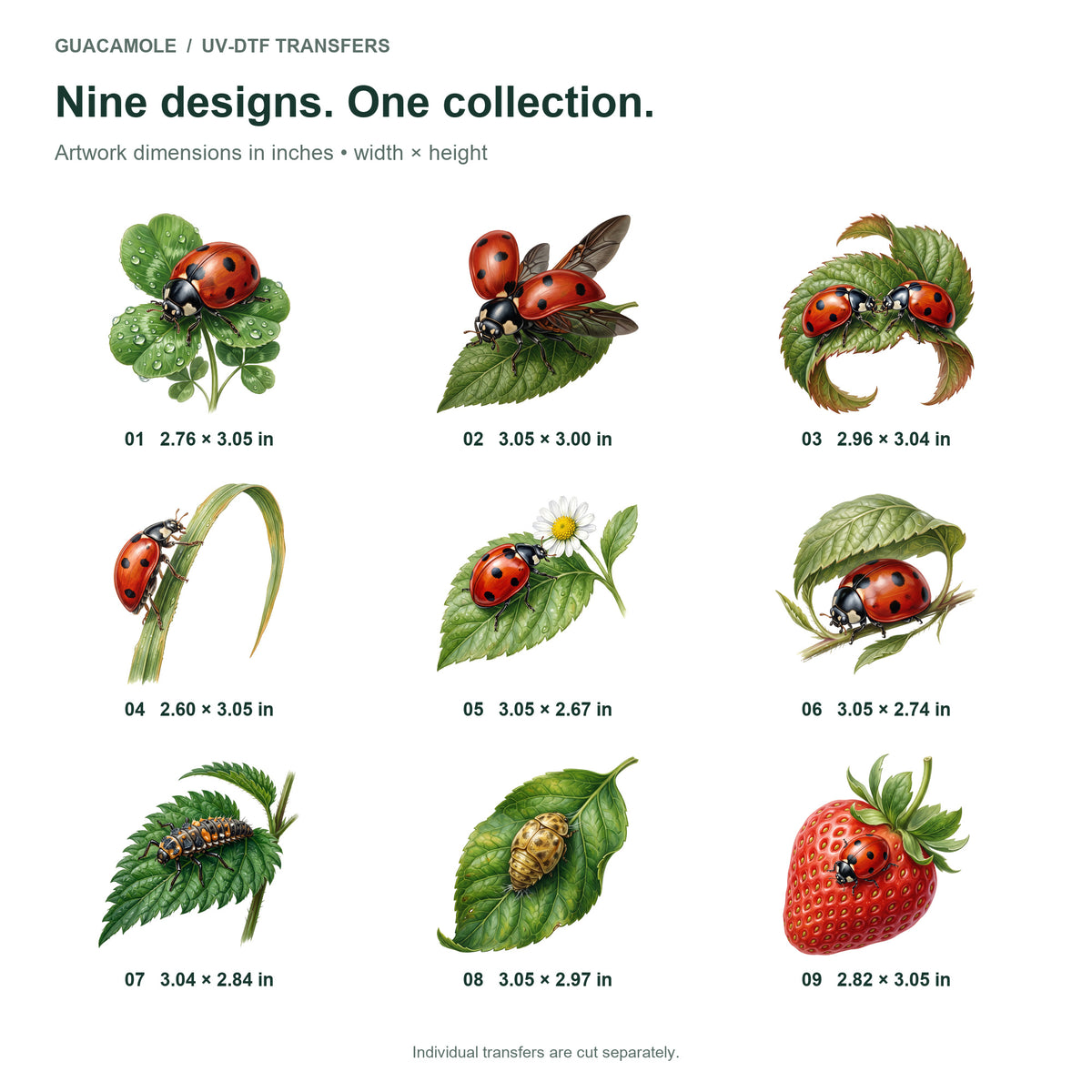 Ladybugs on Leaves — Nine designs and sizes