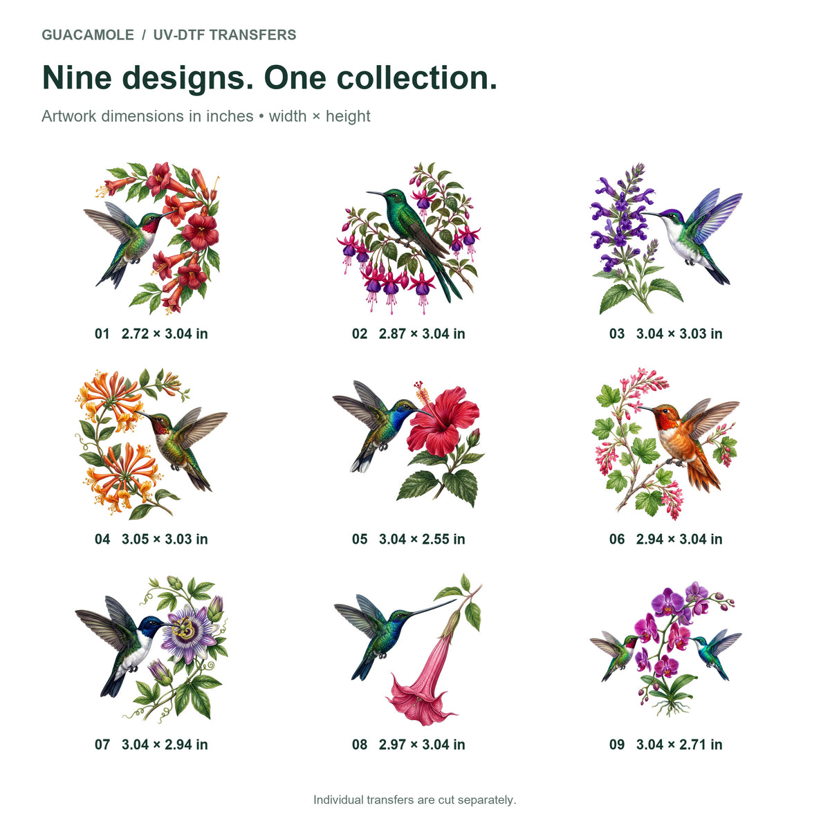 Hummingbirds and Flowers — Nine designs and sizes