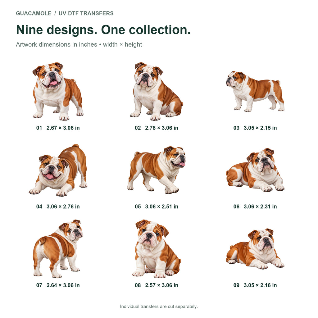 Bulldog — Nine designs and sizes