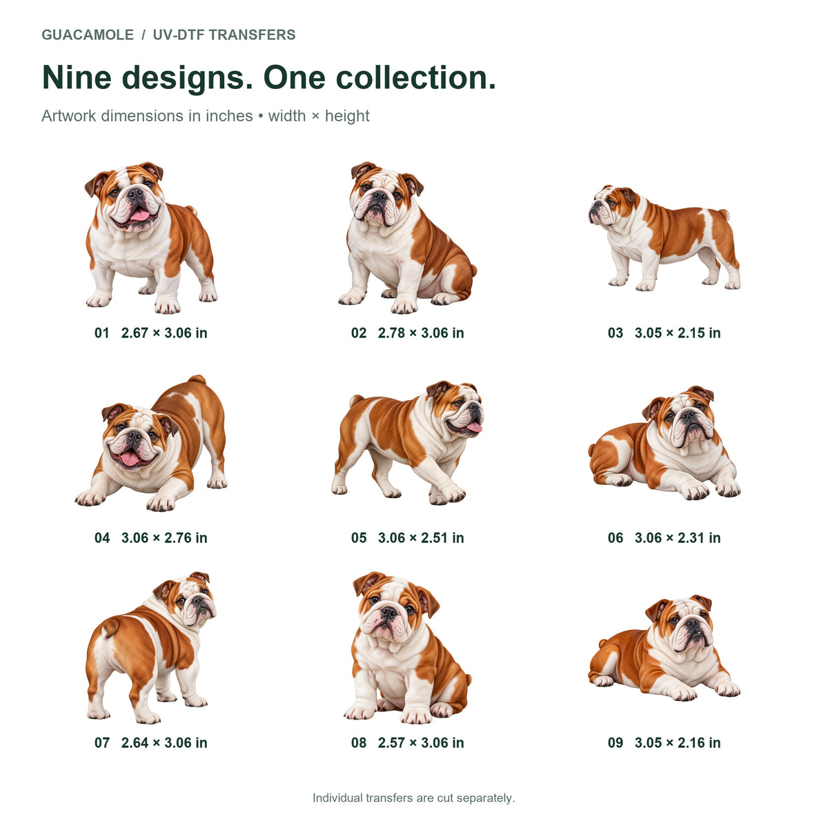 Bulldog — Nine designs and sizes
