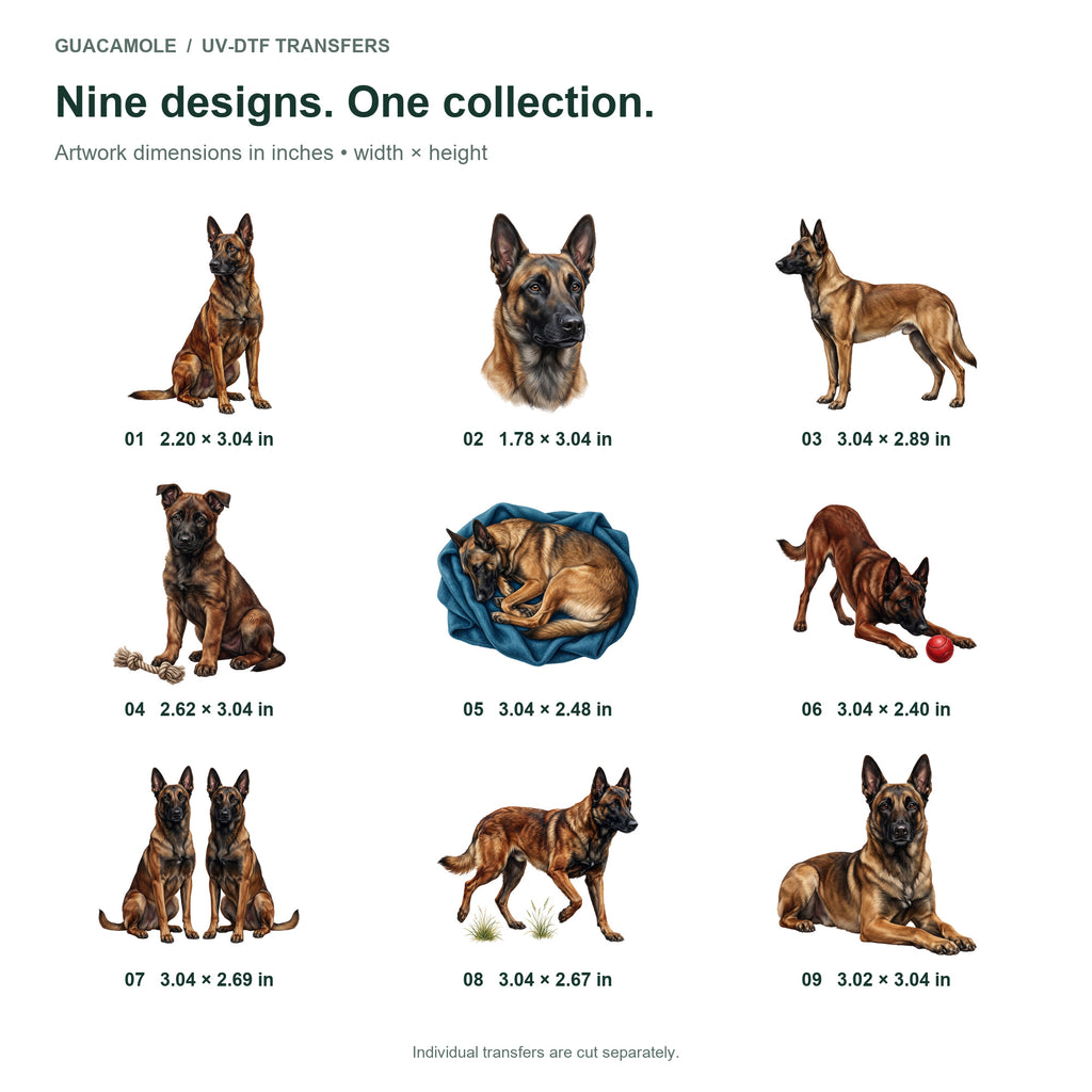Belgian Malinois — Nine designs and sizes