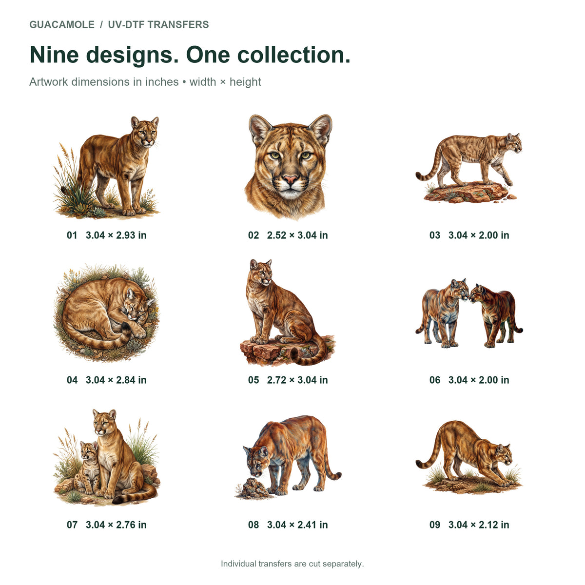Mountain Lion Canyon Life — Nine designs and sizes