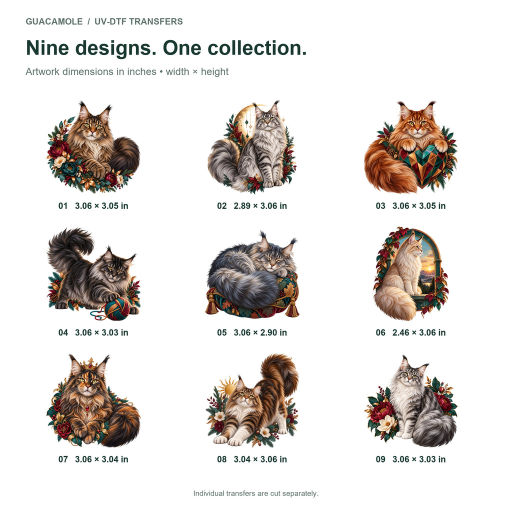 Maine Coon — Nine designs and sizes