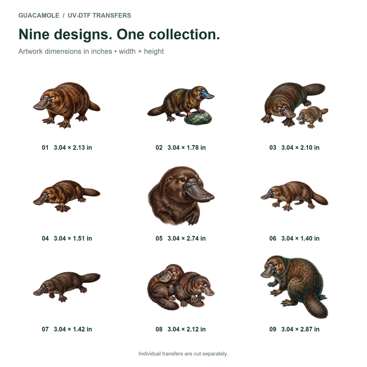 Platypus Creek Explorers — Nine designs and sizes
