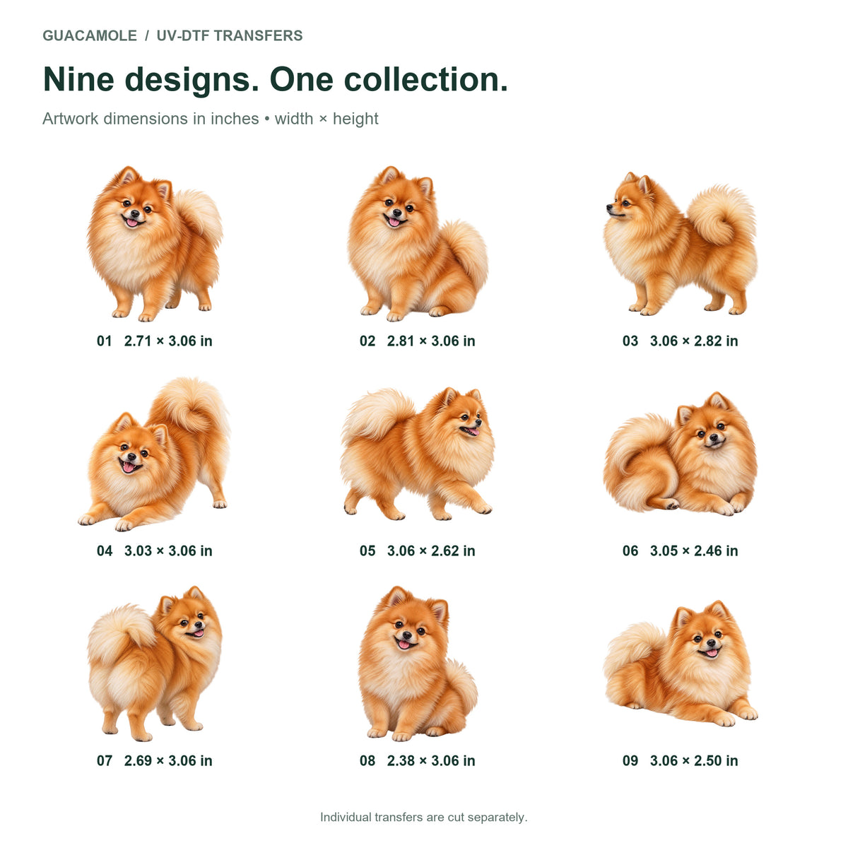 Pomeranian — Nine designs and sizes