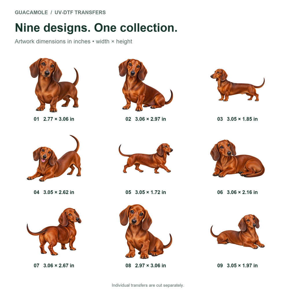 Dachshund — Nine designs and sizes