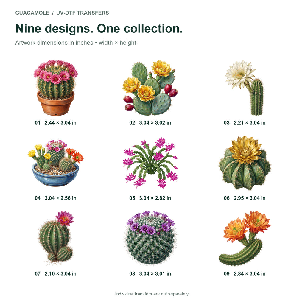 Cactus Flowers — Nine designs and sizes