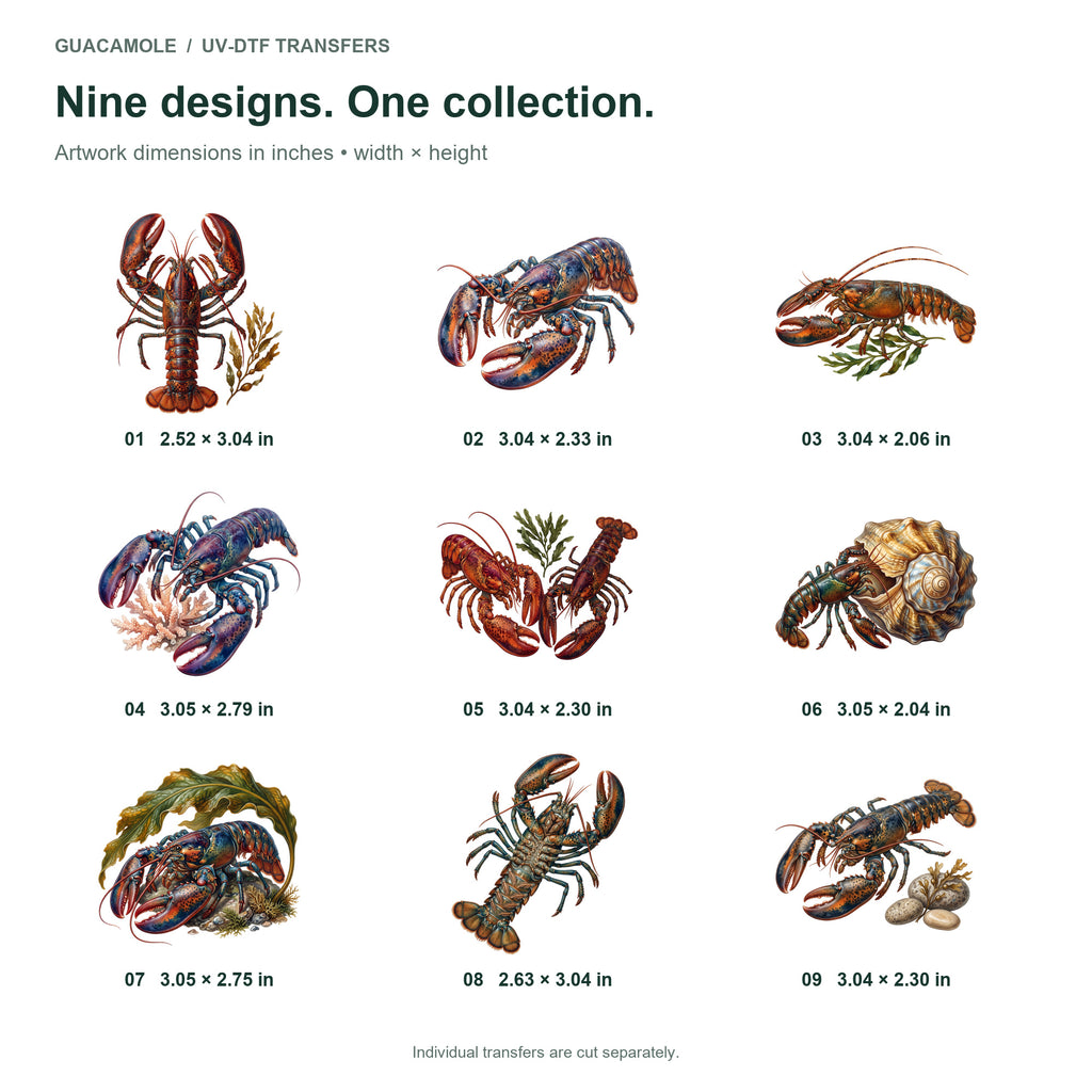 Lobster Rocky Coast — Nine designs and sizes