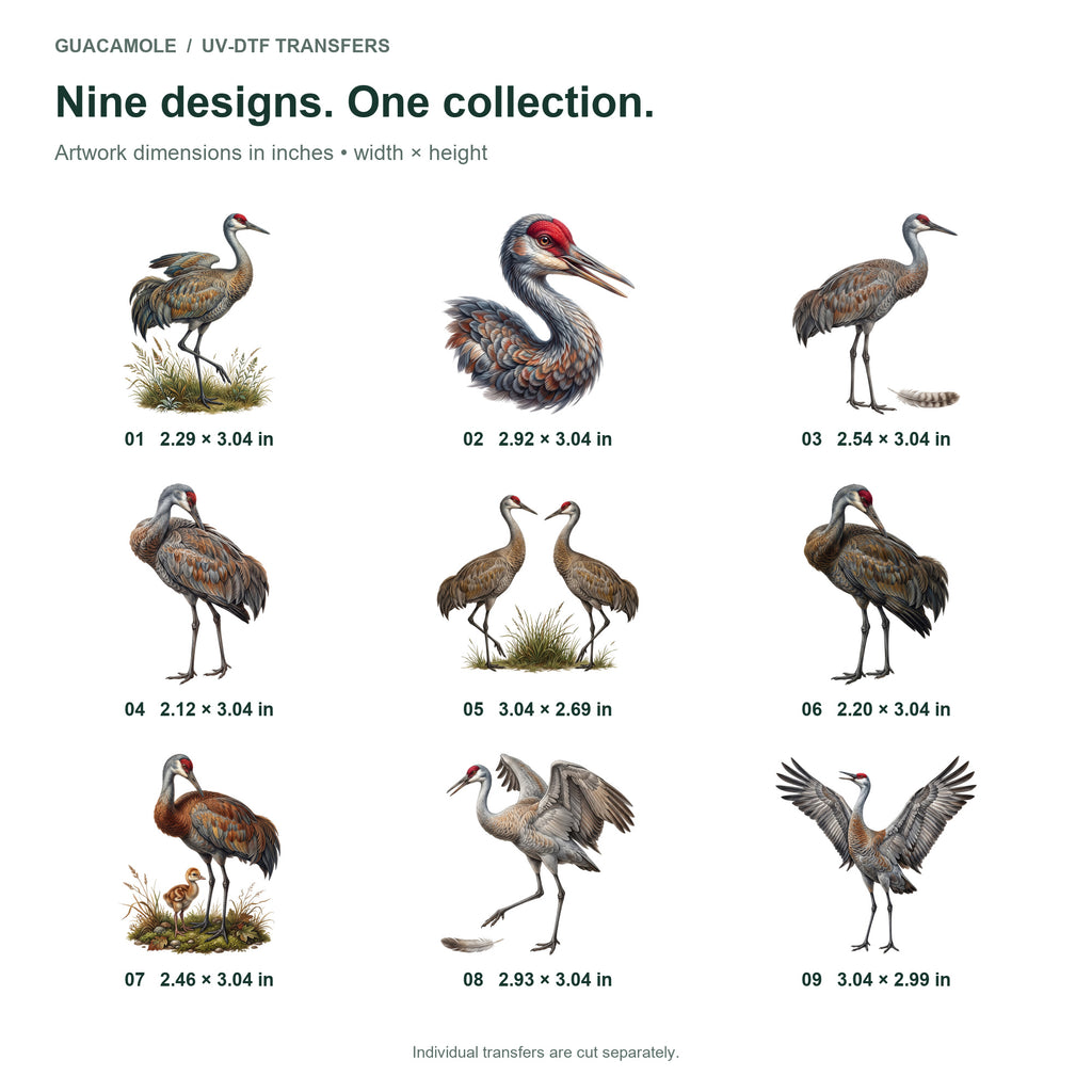 Sandhill Crane Dances — Nine designs and sizes