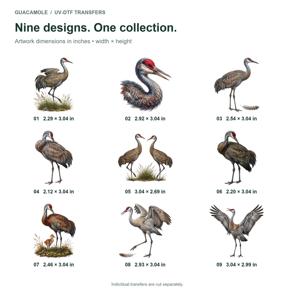 Sandhill Crane Dances — Nine designs and sizes