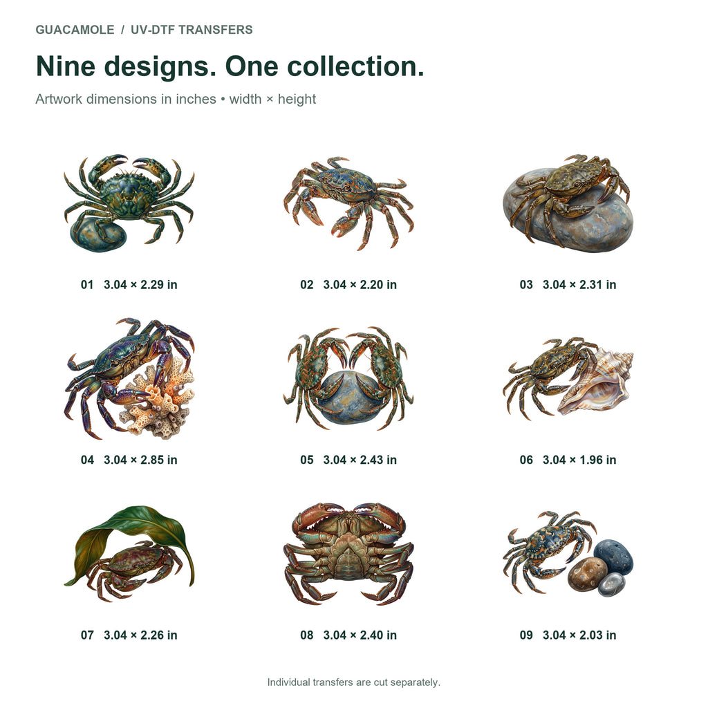 Crab Tidepool Parade — Nine designs and sizes