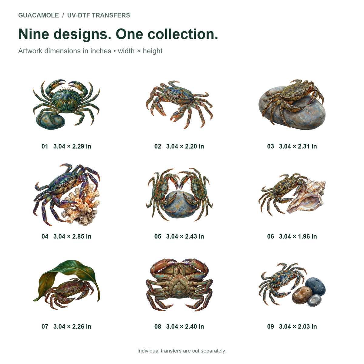 Crab Tidepool Parade — Nine designs and sizes