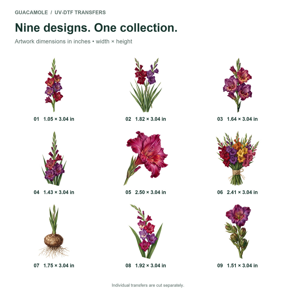 Gladiolus Stems — Nine designs and sizes