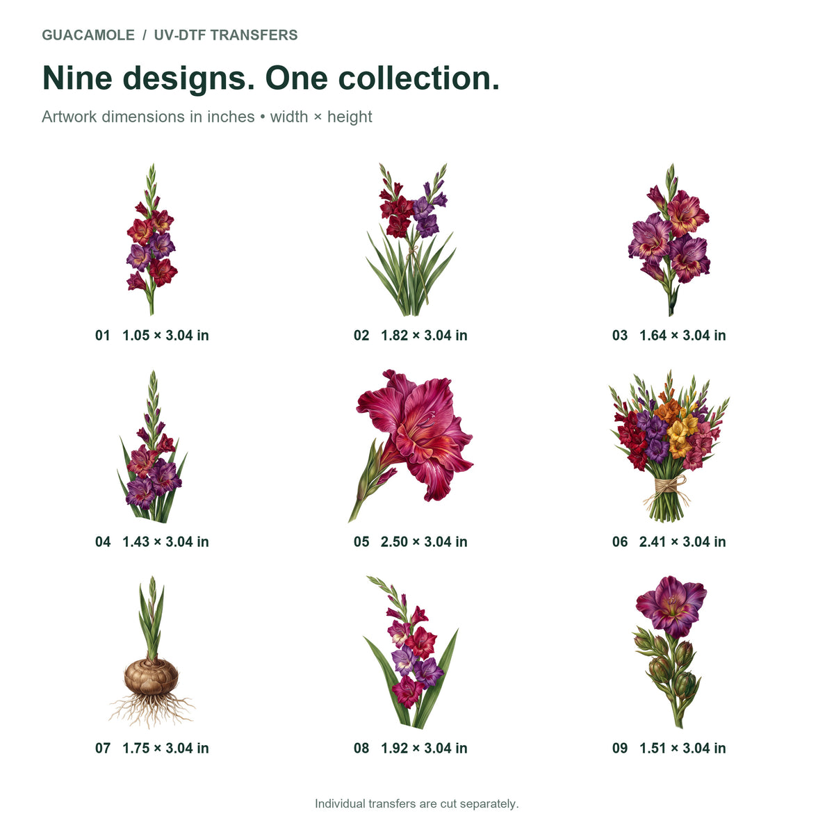 Gladiolus Stems — Nine designs and sizes