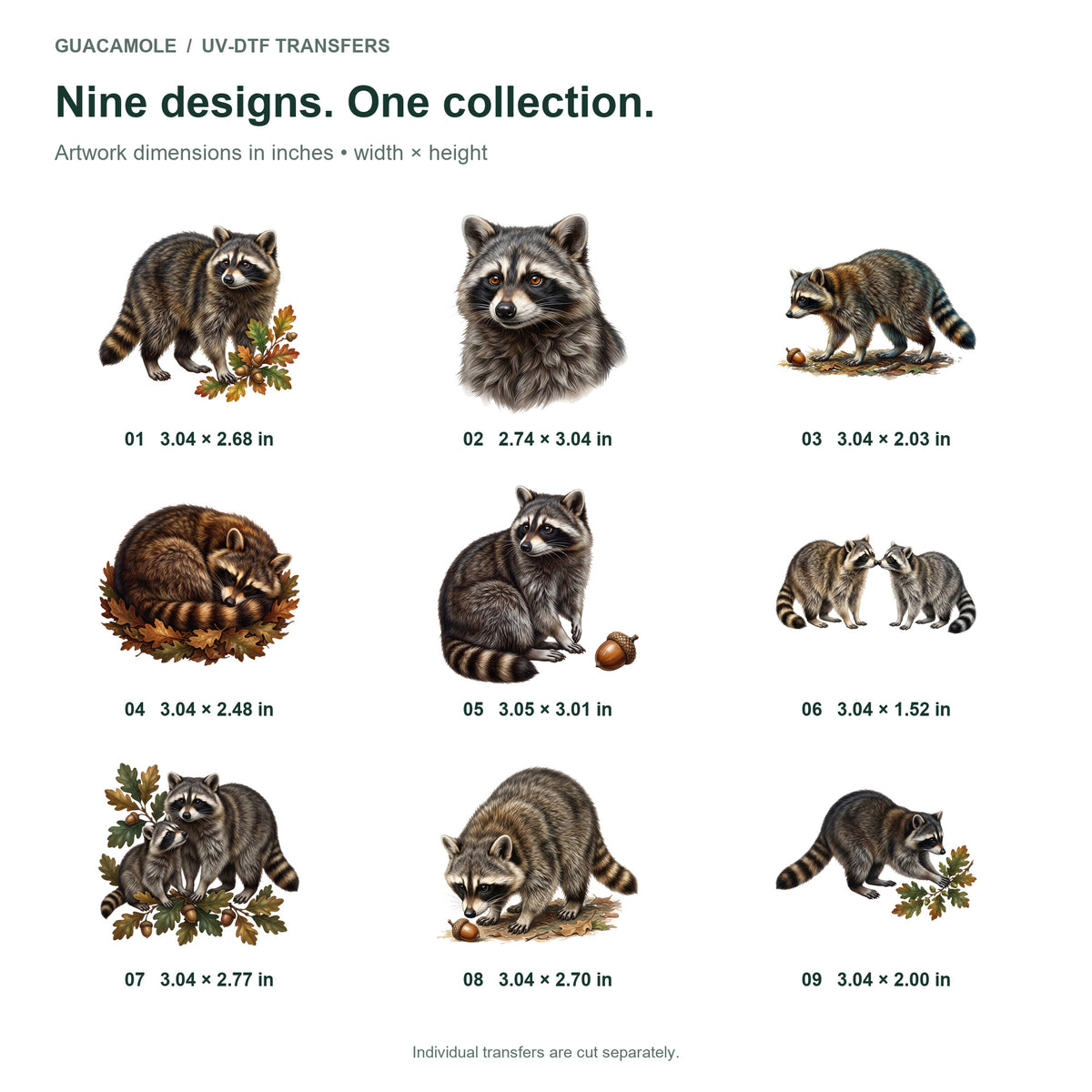Raccoon Night Visitors — Nine designs and sizes