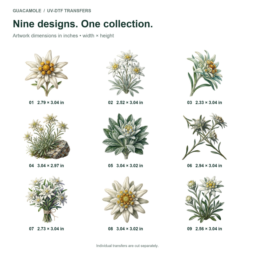 Edelweiss Alpine Blooms — Nine designs and sizes