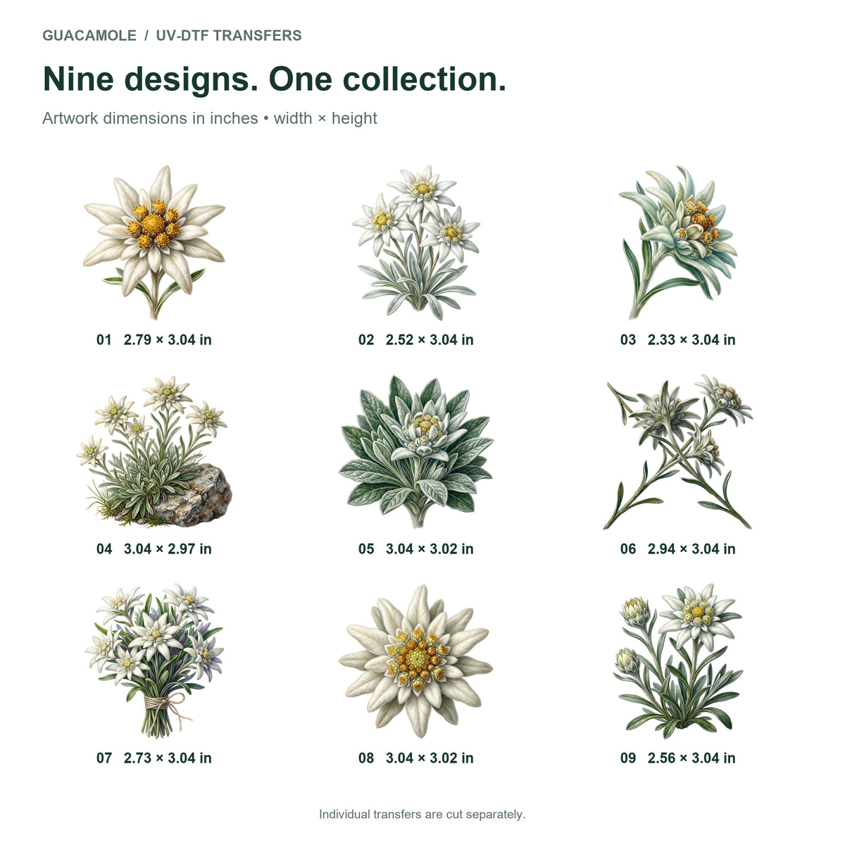 Edelweiss Alpine Blooms — Nine designs and sizes