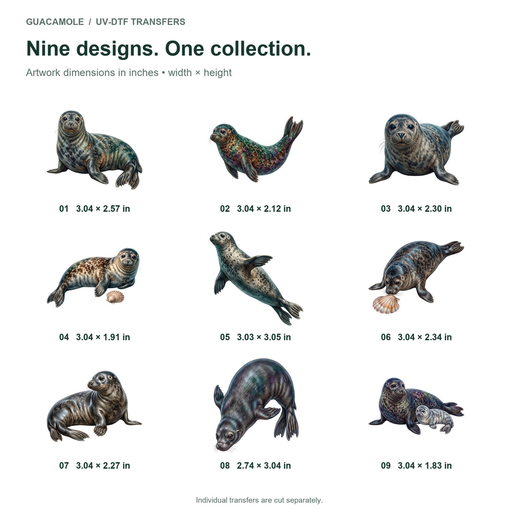 Selkie Seaside Tales — Nine designs and sizes