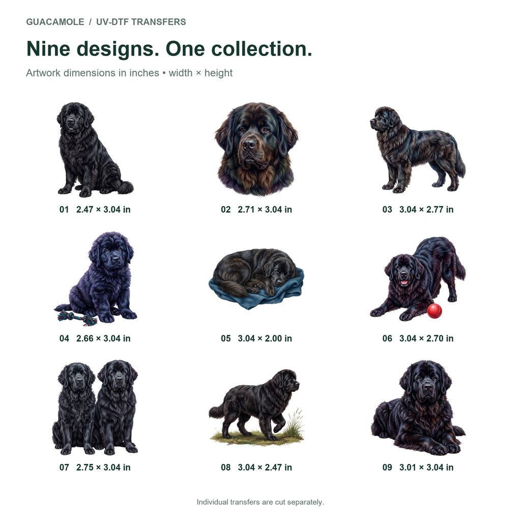Newfoundlands — Nine designs and sizes