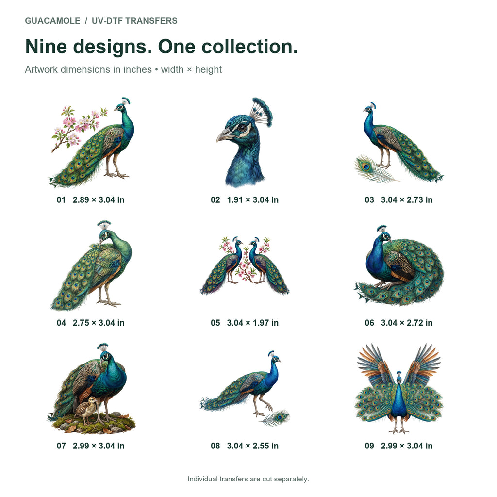 Peacock Feather Fans — Nine designs and sizes