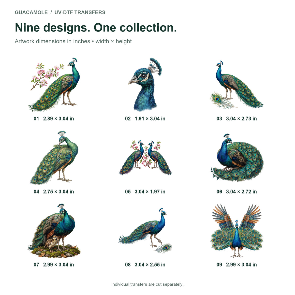 Peacock Feather Fans — Nine designs and sizes