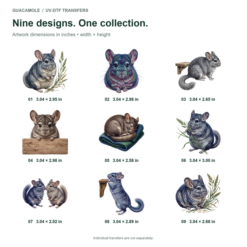 Chinchilla Companions — Nine designs and sizes