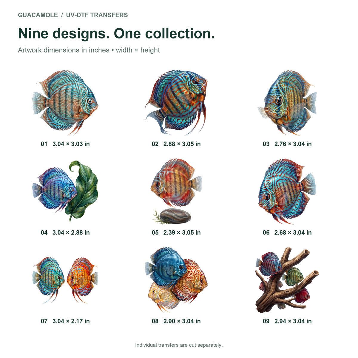 Discus Aquarium Jewels — Nine designs and sizes