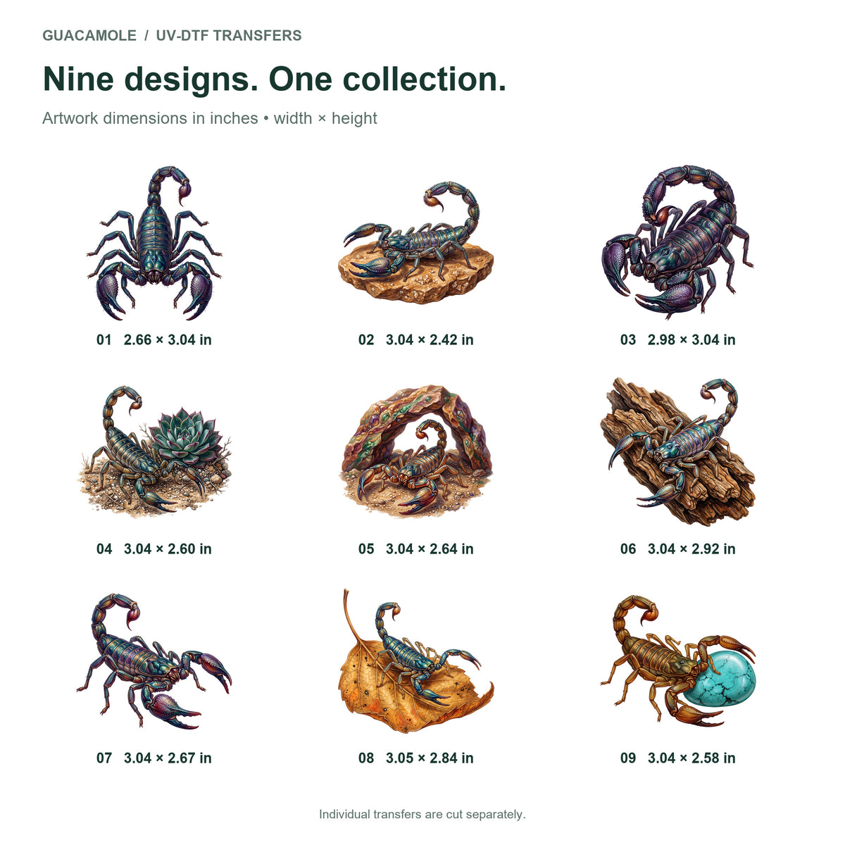 Scorpion Desert Gems — Nine designs and sizes