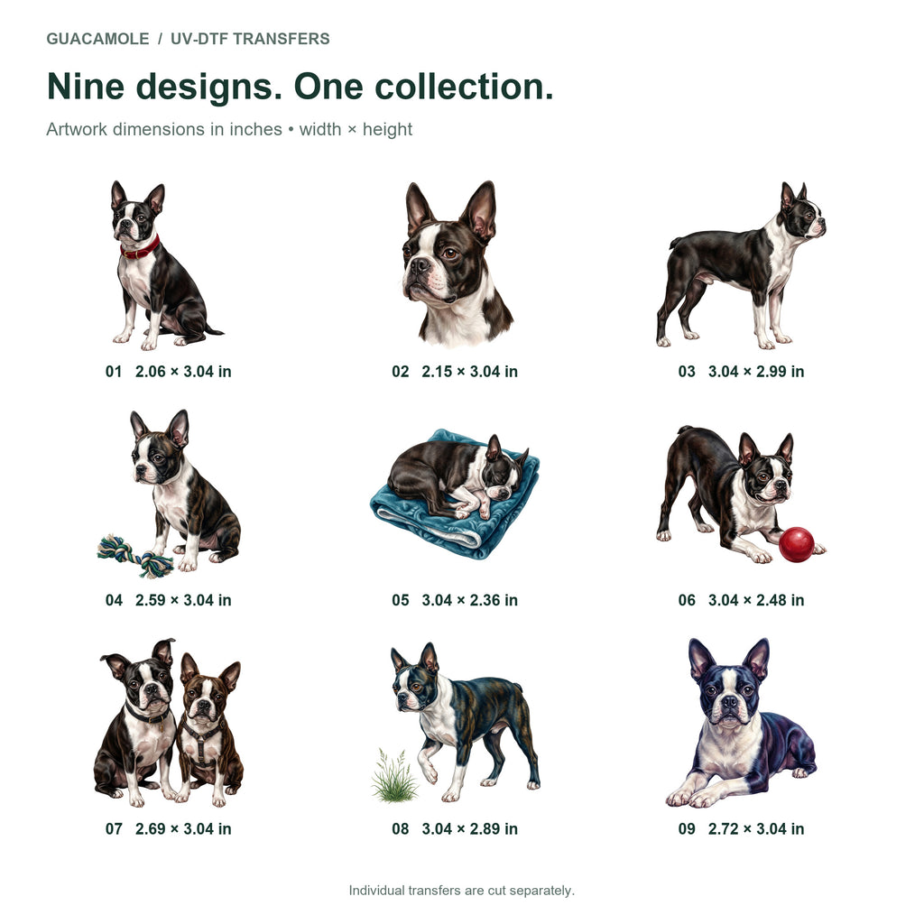 Boston Terriers — Nine designs and sizes
