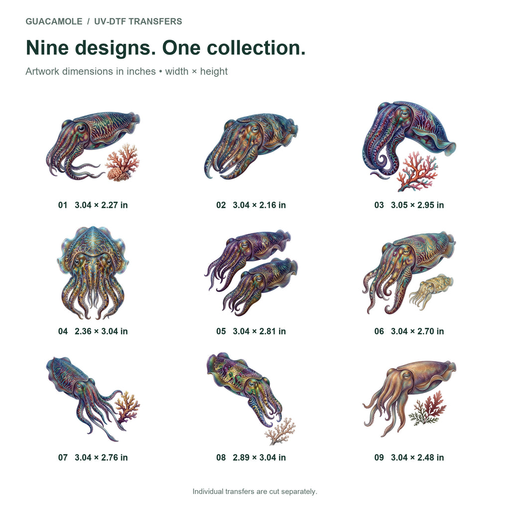 Cuttlefish Color Show — Nine designs and sizes