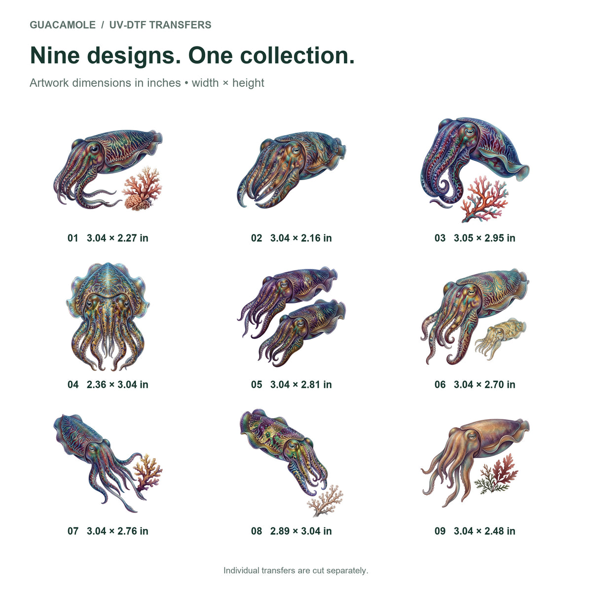 Cuttlefish Color Show — Nine designs and sizes