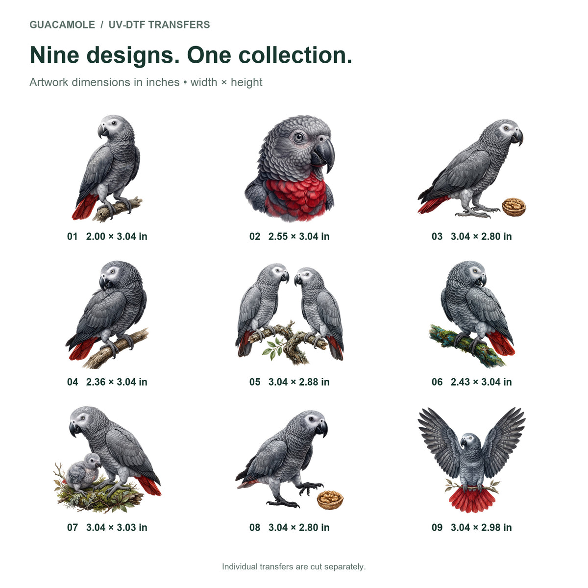 African Grey Parrots — Nine designs and sizes