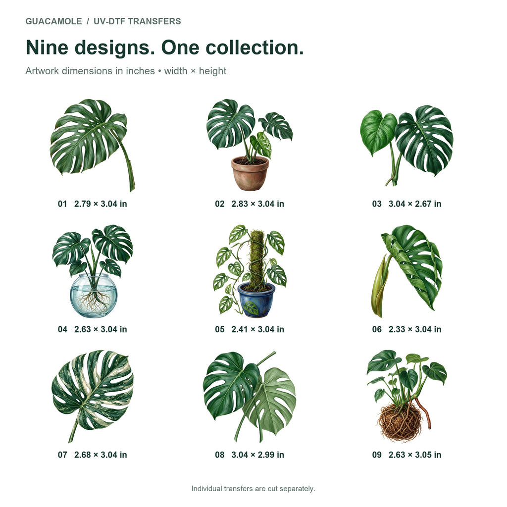 Monstera Leaves — Nine designs and sizes
