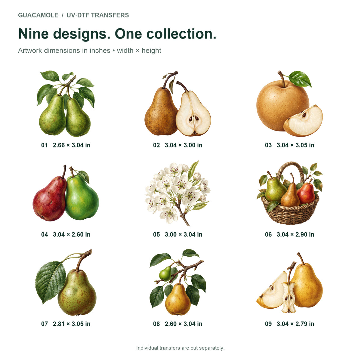 Pear Varieties — Nine designs and sizes