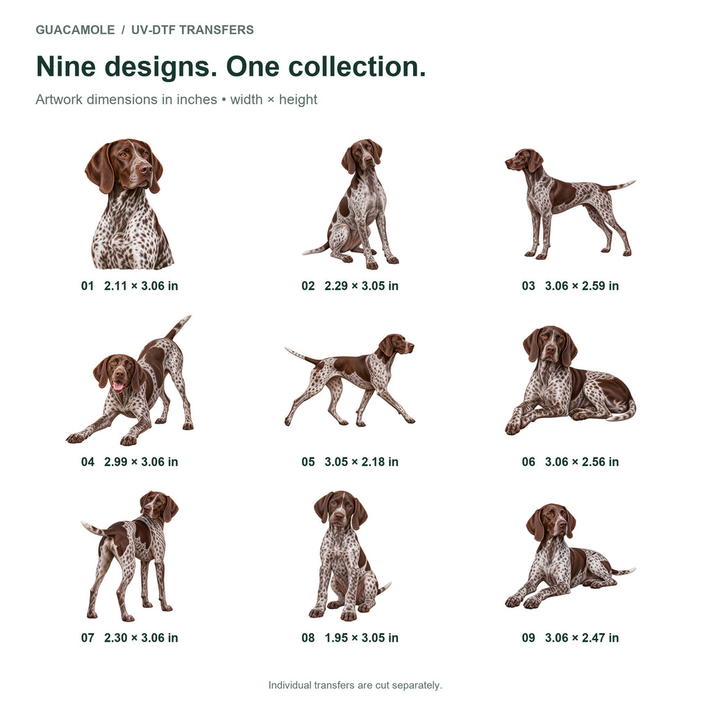 German Shorthaired Pointer — Nine designs and sizes