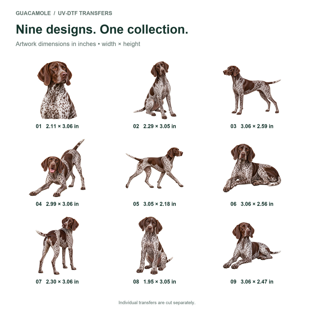 German Shorthaired Pointer — Nine designs and sizes