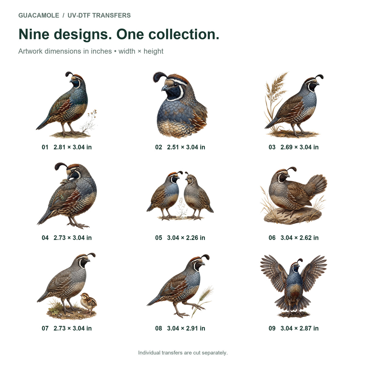 Quail Coveys — Nine designs and sizes