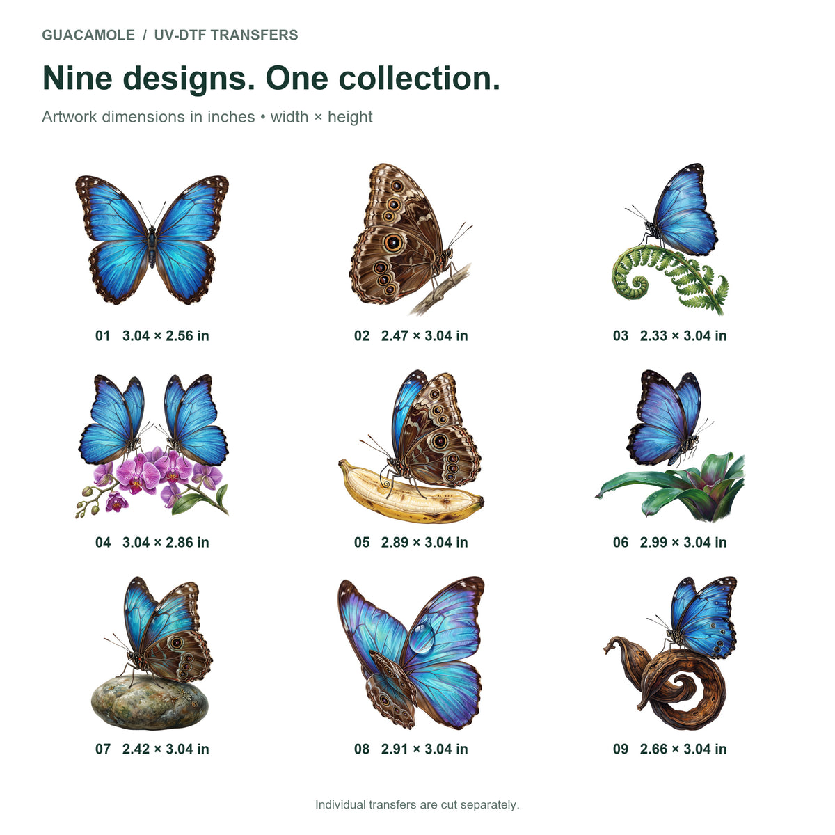 Blue Morpho Butterflies — Nine designs and sizes