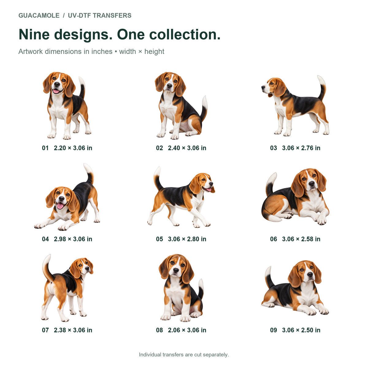 Beagle — Nine designs and sizes