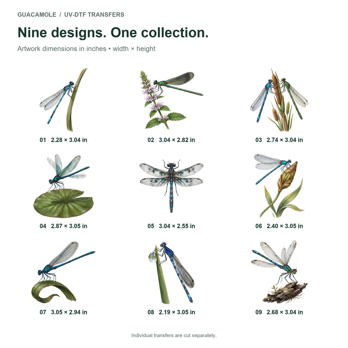 Damselflies by the Water — Nine designs and sizes