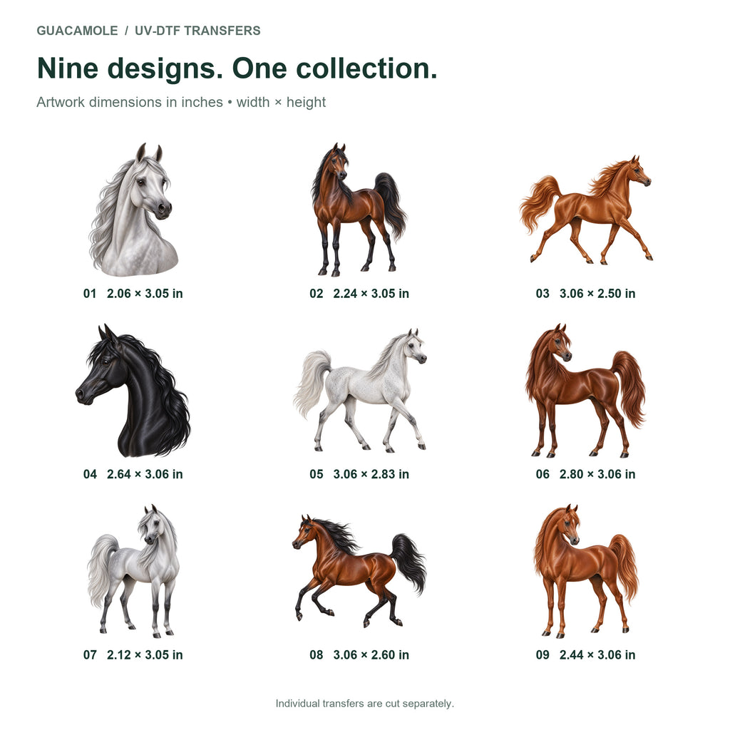 Arabians — Nine designs and sizes
