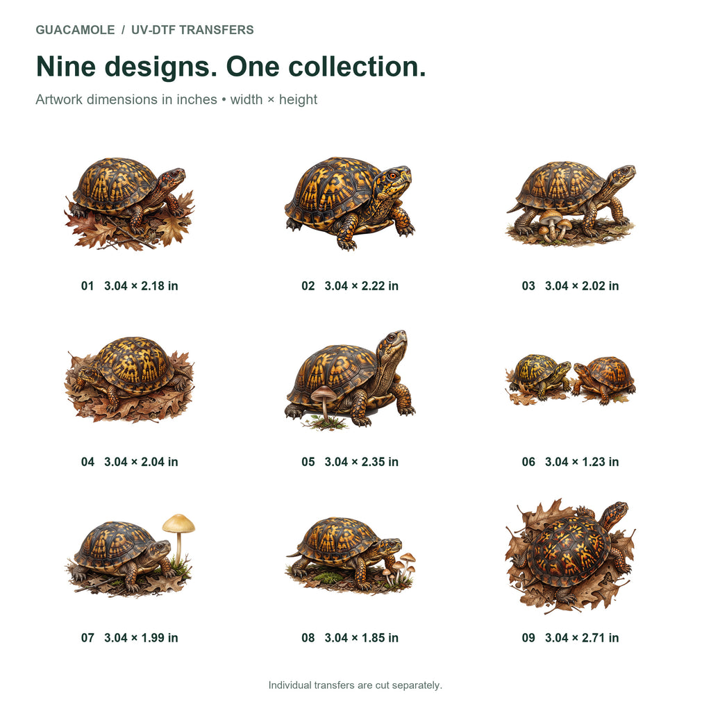 Box Turtle Woodland — Nine designs and sizes