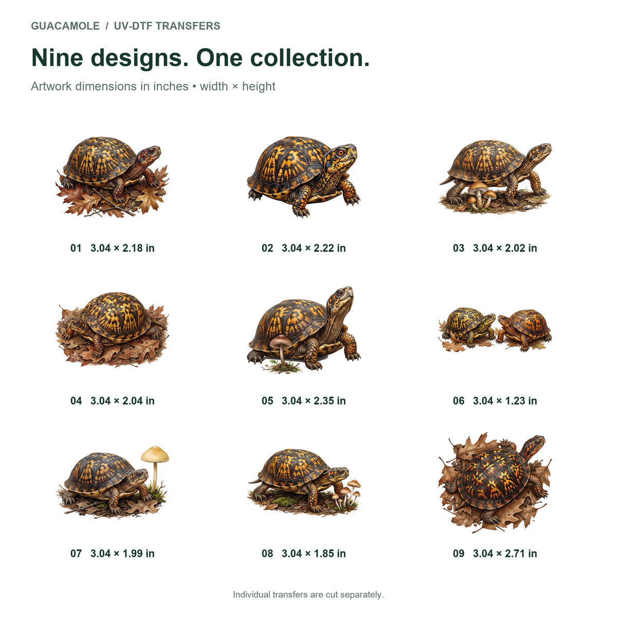 Box Turtle Woodland — Nine designs and sizes