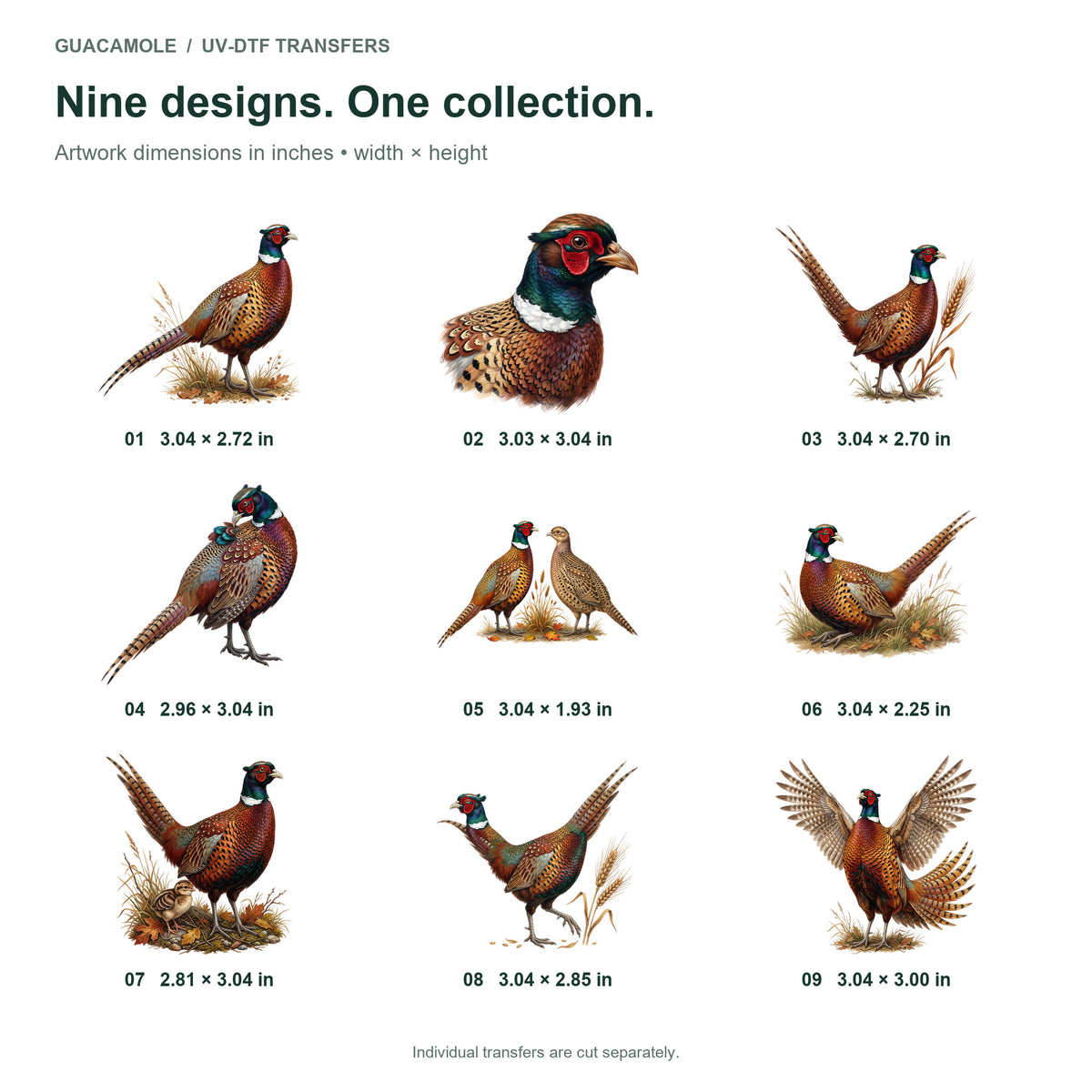 Pheasant Field Colors — Nine designs and sizes